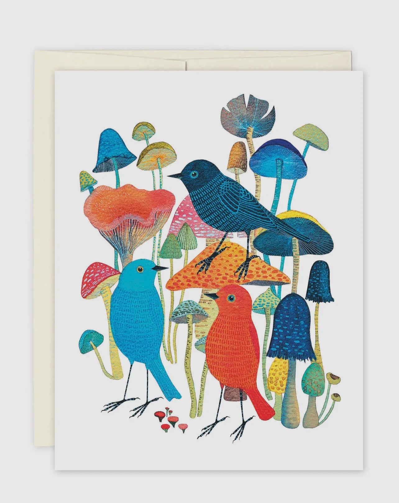 Birds & Mushrooms - Boxed Set of 10 Blank Notes & Envelopes